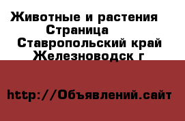  Животные и растения - Страница 10 . Ставропольский край,Железноводск г.